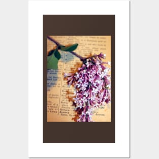 Defining Lilacs Posters and Art